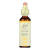 Bach Flower Remedies Essence Gentian - 0.7 fl oz